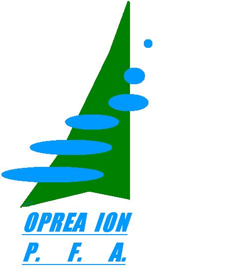 oprea ion p.f.a.