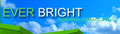 Ever Bright Impex