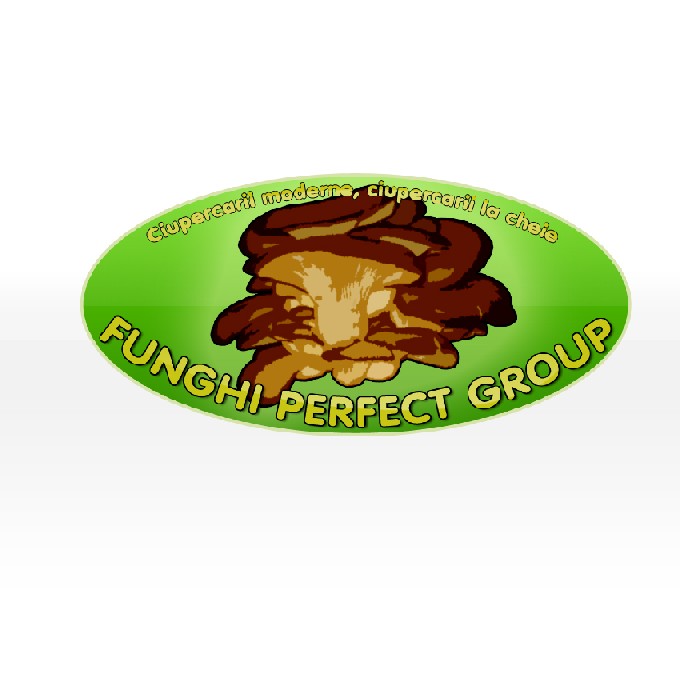 Funhgi Perfect Group