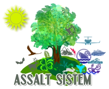 ASSALT SISTEM