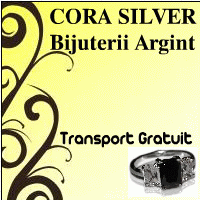 Bibliography Ash Advertisement Cora Silver SRL