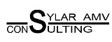 SYLAR AMV CONSULTING - DEPARTAMENT IT