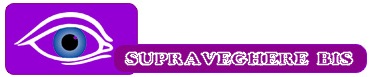 Camere Supraveghere Sisteme Card captura DVR IP