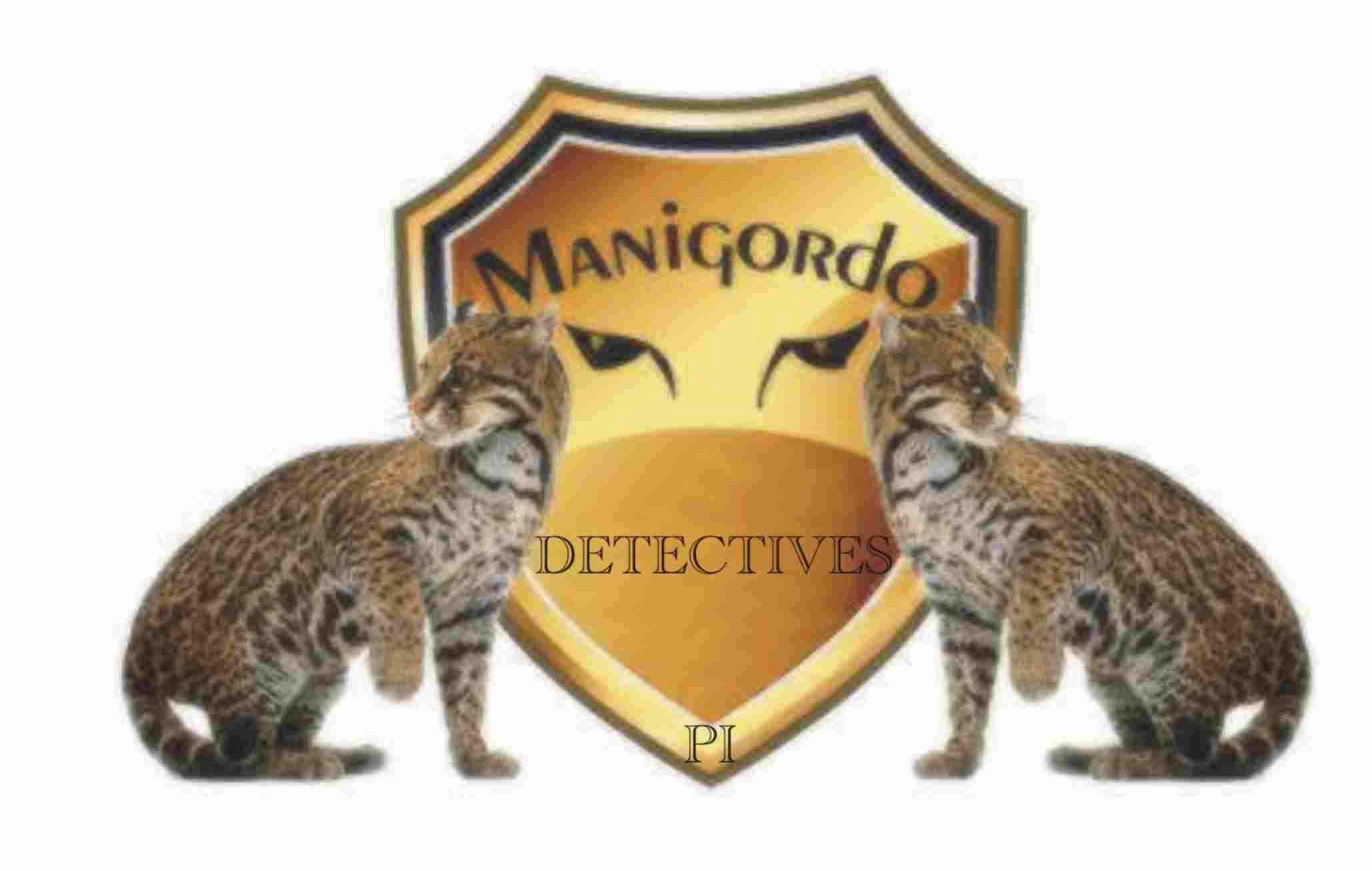 Manigordo Grup Investigations