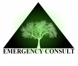 EMERGENCY CONSULT