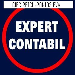 EXPERT CONTABIL PETCU-PONTOS EVA