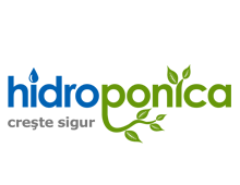 Hidroponica