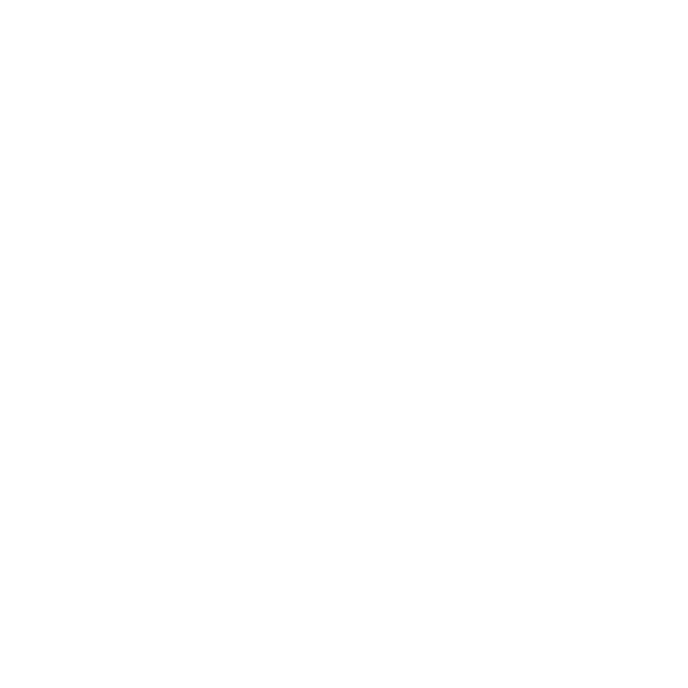 Meditatii Informatica