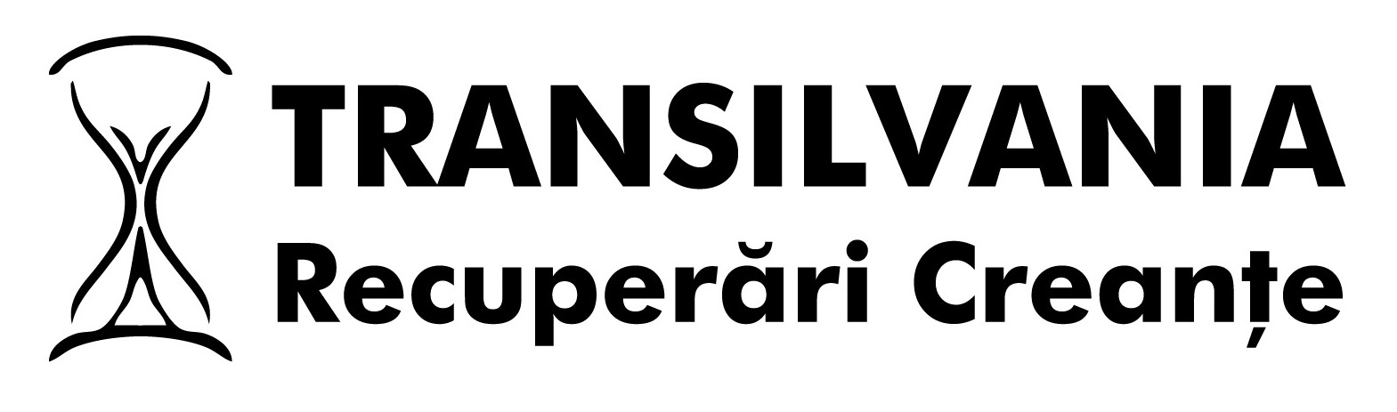 TRANSILVANIA Recuperari Creante