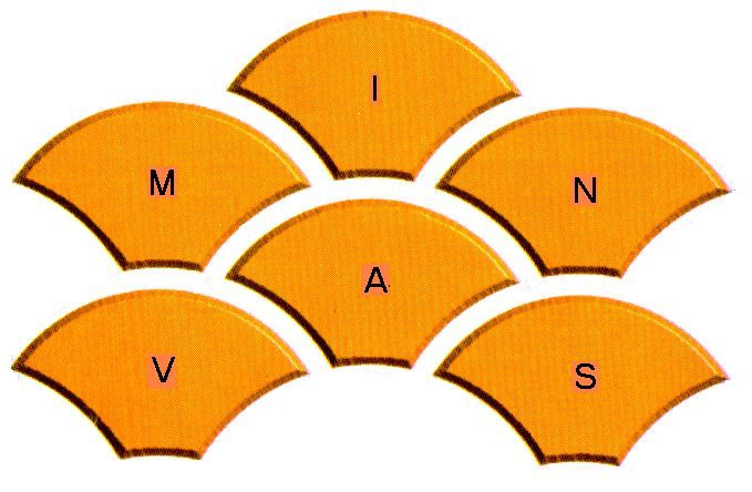 Minvas Impex Company