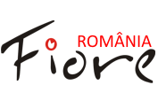 Fiore ROmania