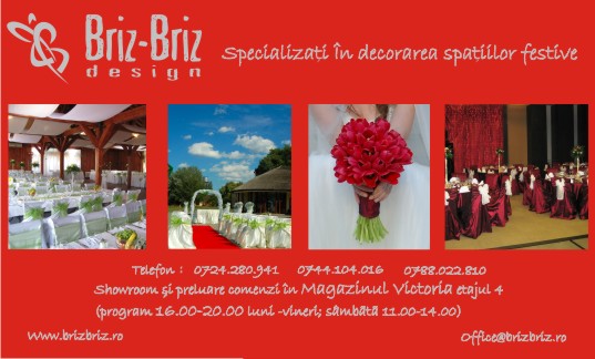 BRIZ BRIZ DESIGN