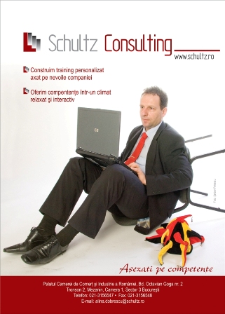 SCHULTZ CONSULTING