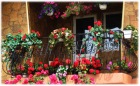 Parapet din Fier Forjat, pentru balcon