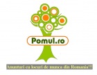 www.Pomul.ro - anunturi locuri de munca