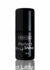 Gel Perfect Shine