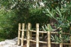 Bariera din bambus, ALPI