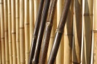 Tije de bambus de culori bej natur sau acaju.