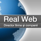 Director web pentru firme si companii - promovare prin internet