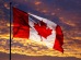 Emigreaza in Canada: Traducerea dosarului pentru Canada
