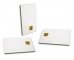 Carduri cu memorie securizata Smartcard SLE, Smartcard FM